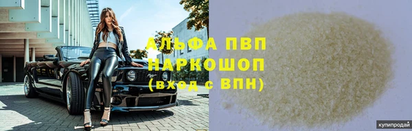 прущие крисы Бородино