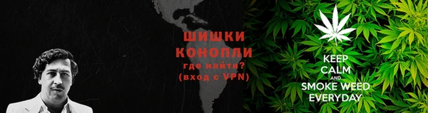 трава Бронницы