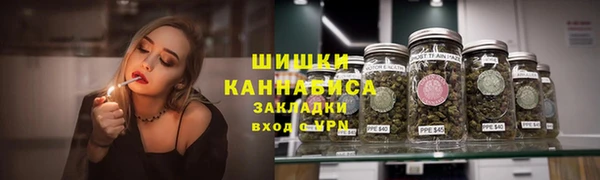 трава Бронницы