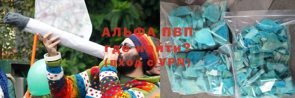 прущие крисы Бородино