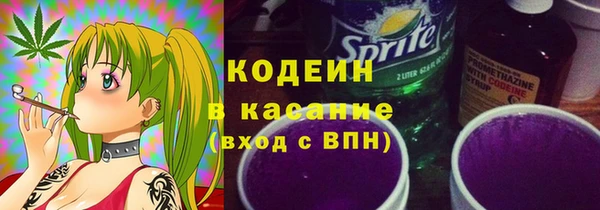 прущие крисы Бородино