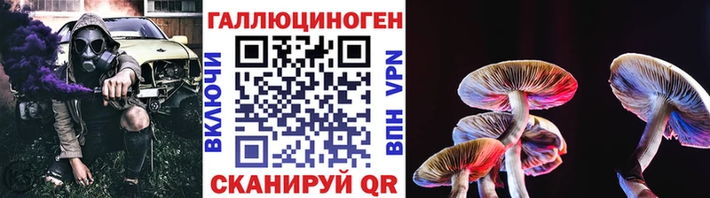 Галлюциногенные грибы Psilocybine cubensis  Купить закладки  Лесозаводск 